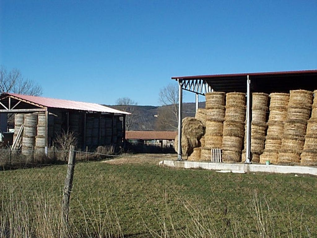 Realizzazione depositi rurali in Località Casone in Serravalle di Chienti